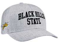 Image of JA Snapback Hat with Sting -  greyheather